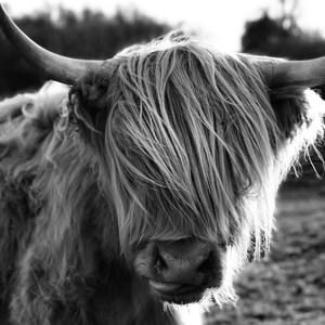 Meet your Posher, Rae lyn